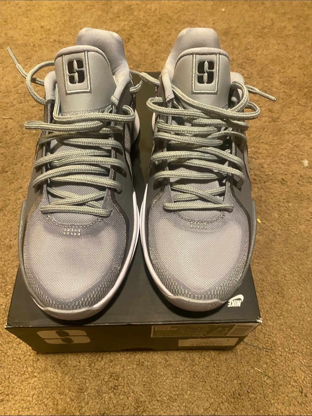 Nike Light Gray Low-Top Sneakers